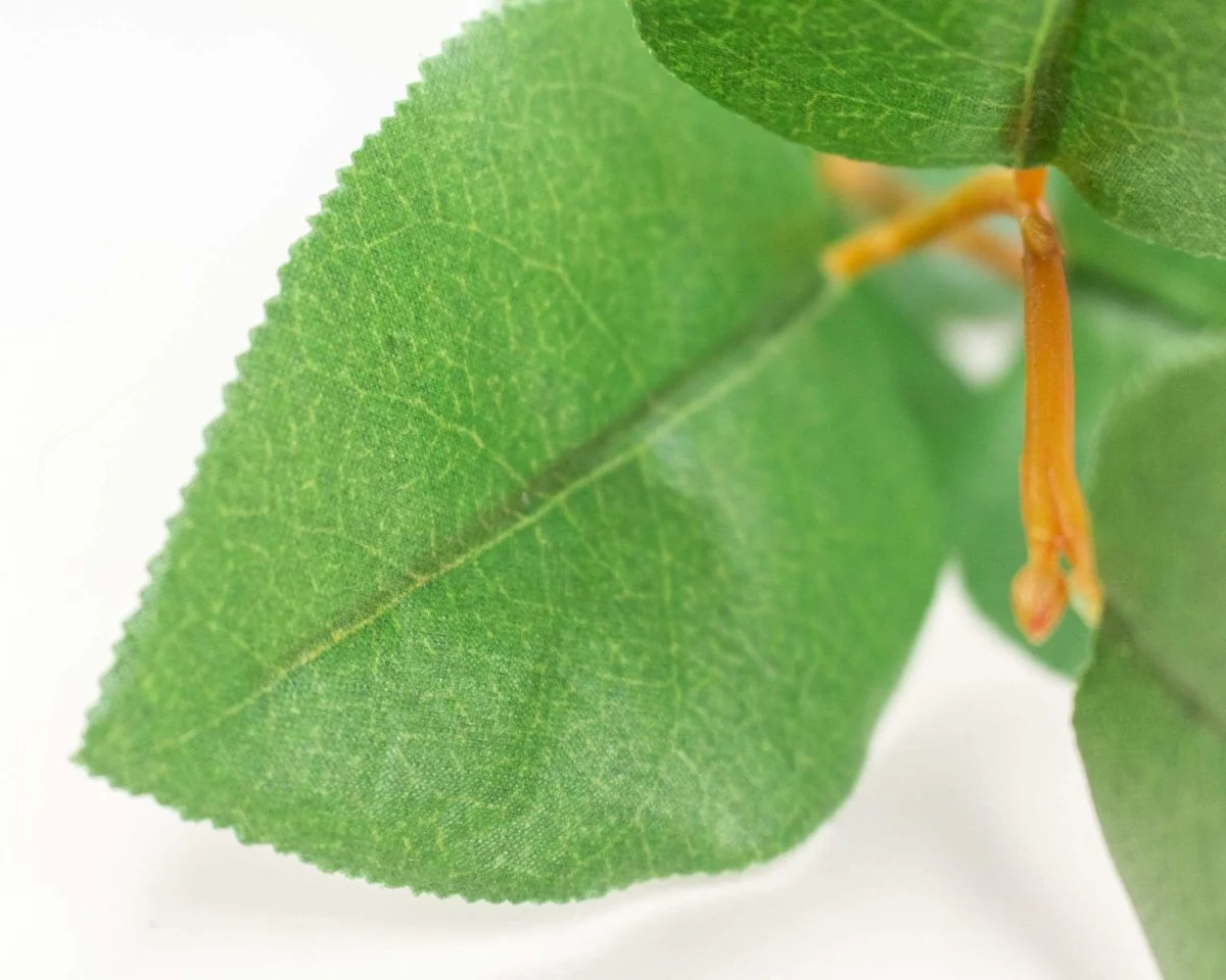 Faux Salal Leaves Spray - Image 2