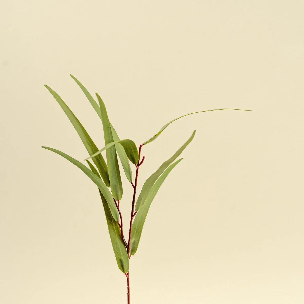 Faux Willow Eucalyptus - Green - Image 3