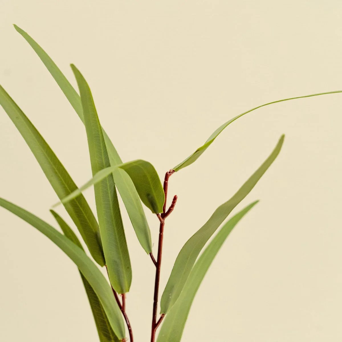 Faux Willow Eucalyptus - Green - Image 4
