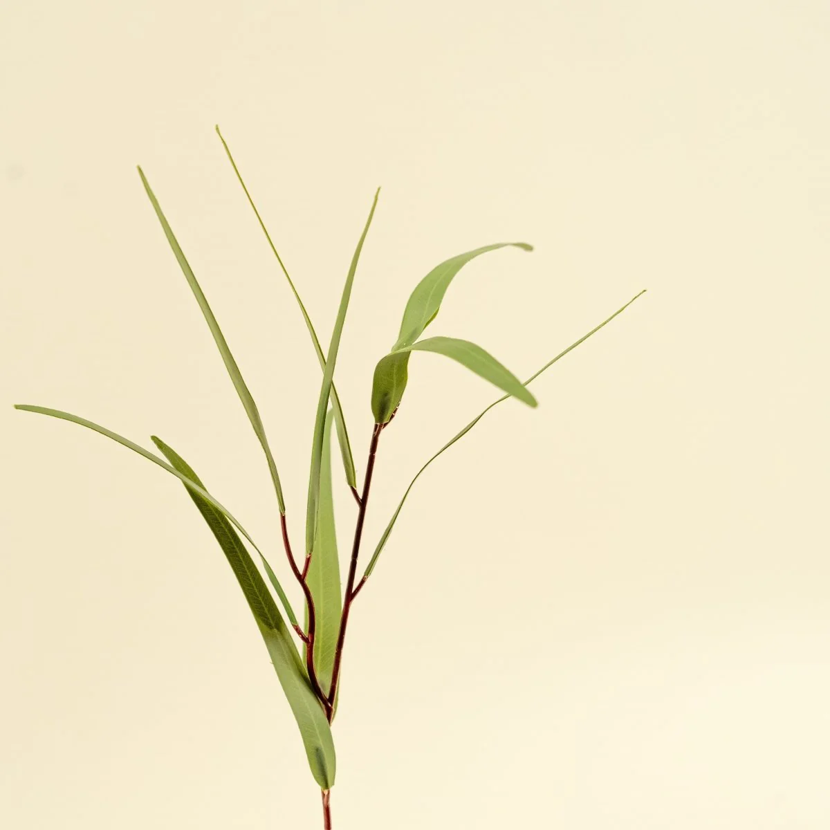Faux Willow Eucalyptus - Green - Image 5