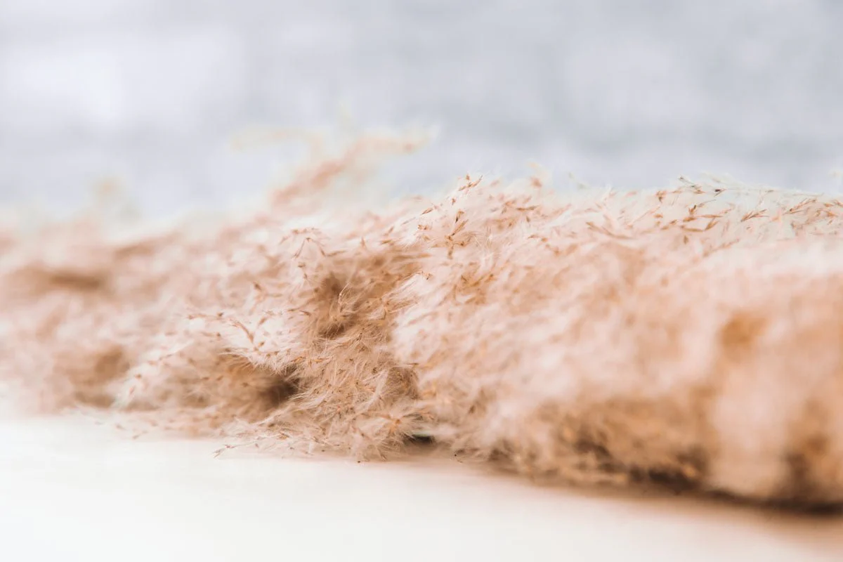 Feather Grass - Natural - Image 4