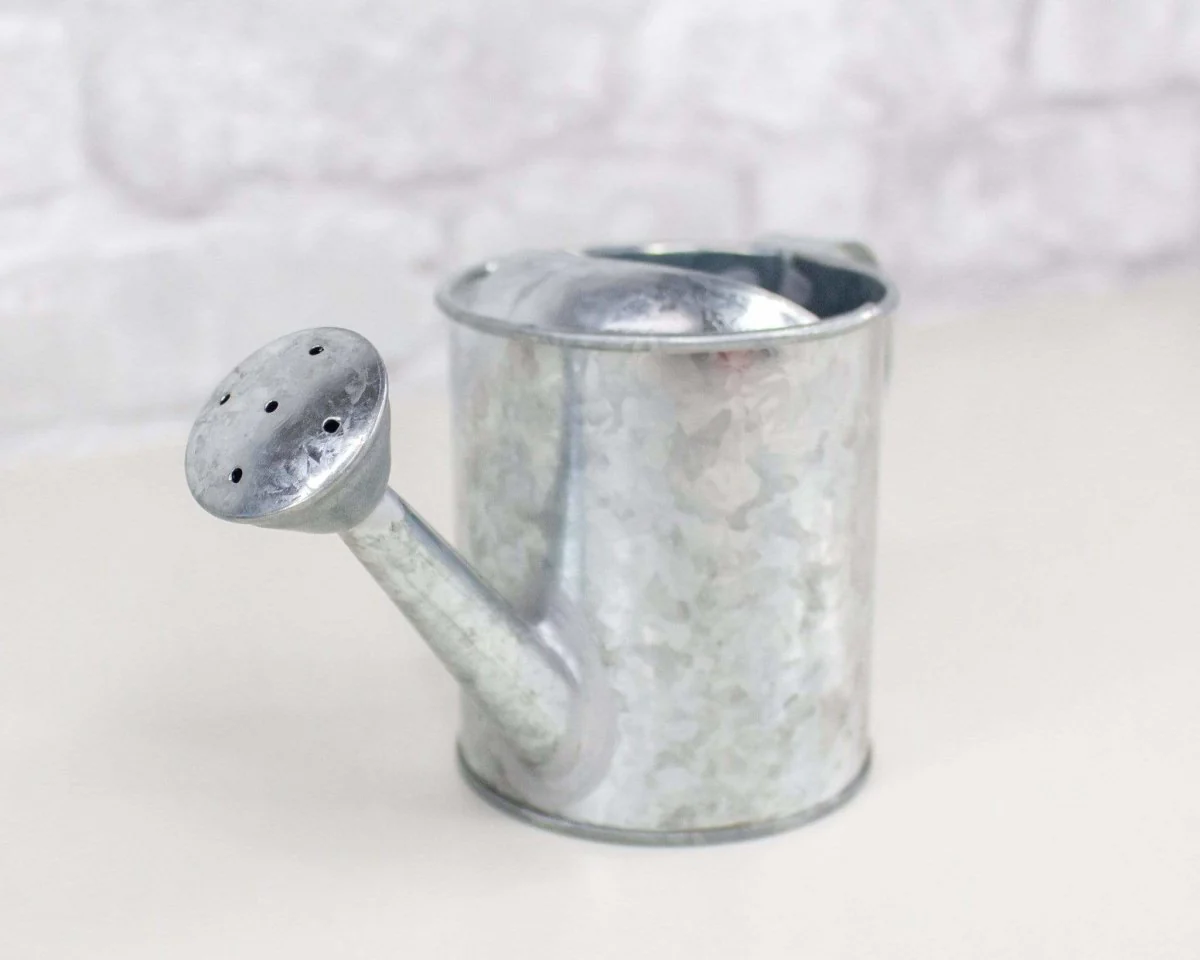Galvanized Watering Can - Image 2
