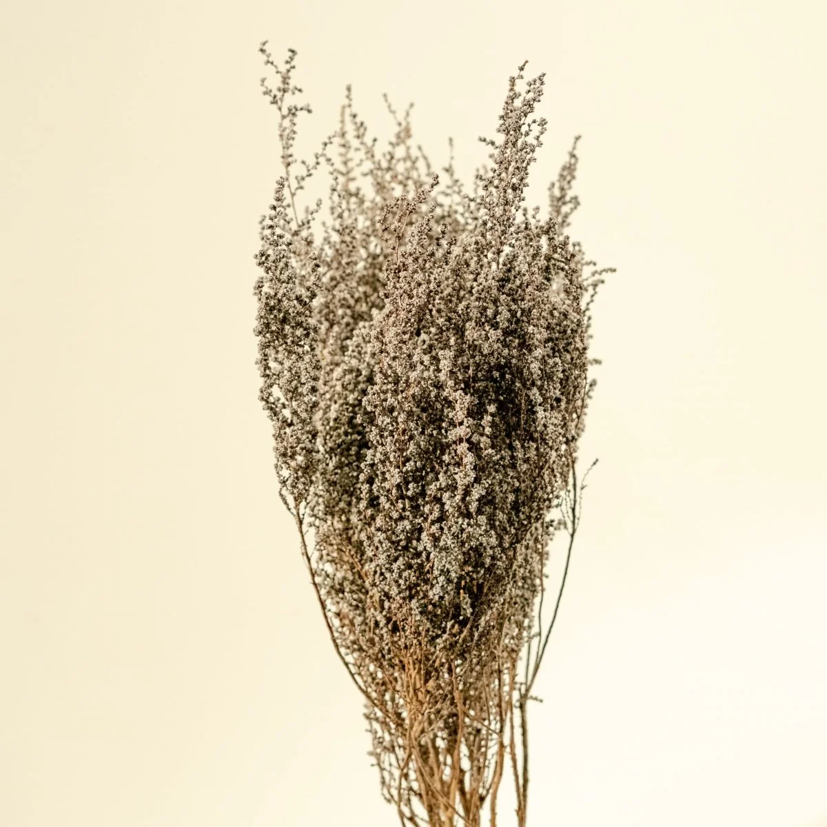 Stoebe - Natural (Silver/White) - Image 4