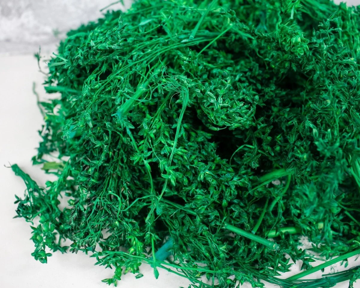 Green Corn Grass - Image 2