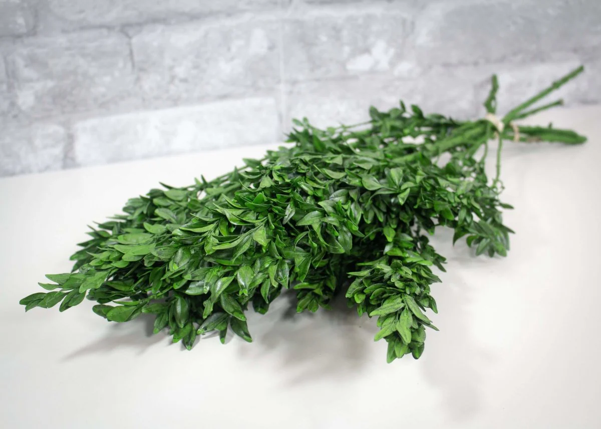 Greenery Sample Kit - Image 12