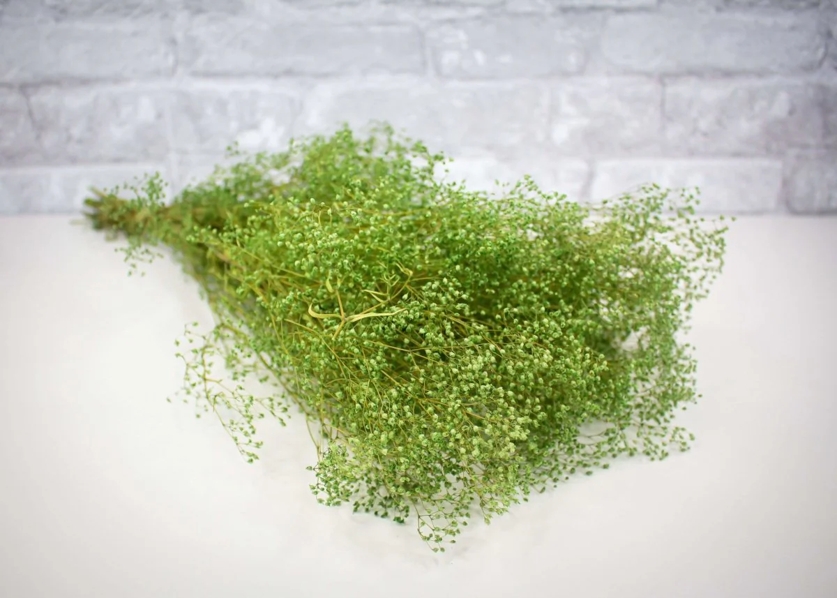 Greenery Sample Kit - Image 13