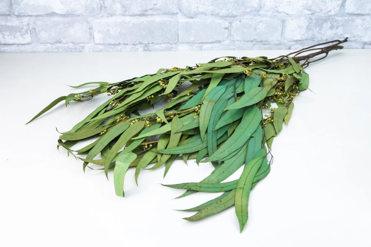 Greenery Sample Kit - Image 6