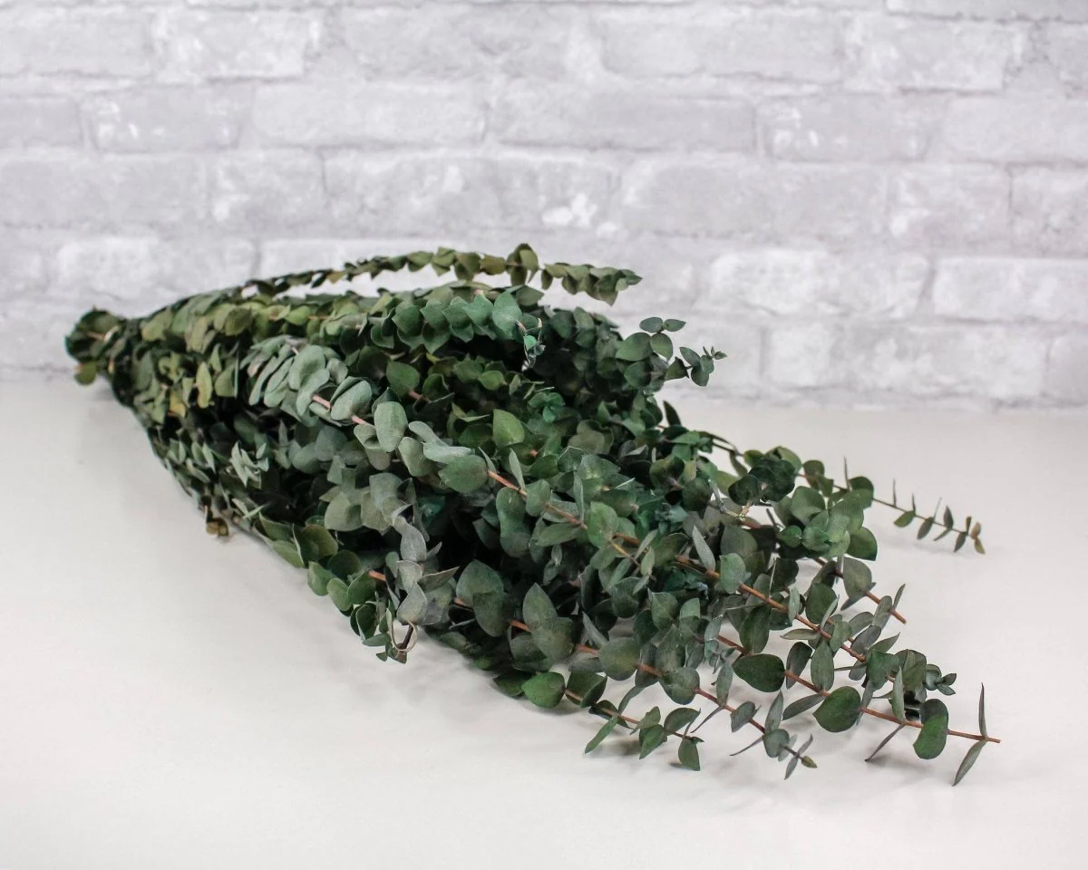 Greenery Sample Kit - Image 7