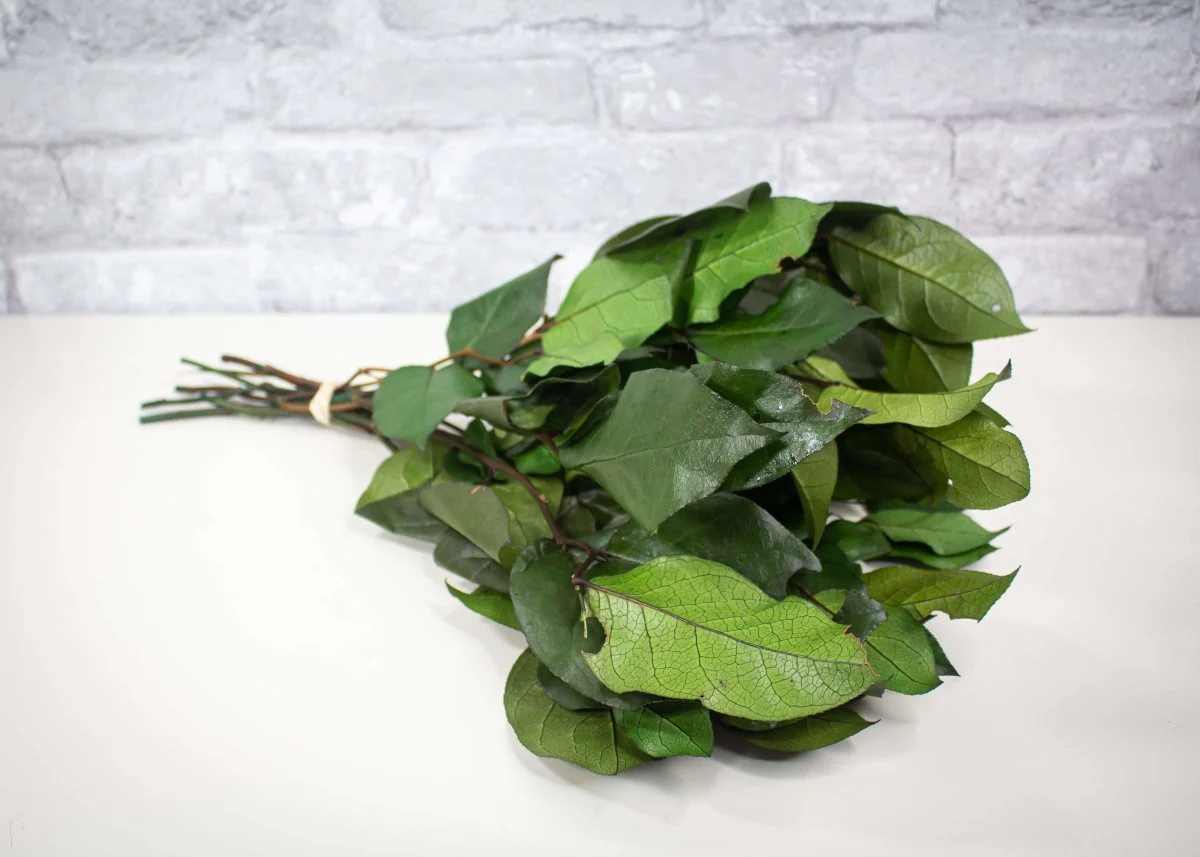 Greenery Sample Kit - Image 9