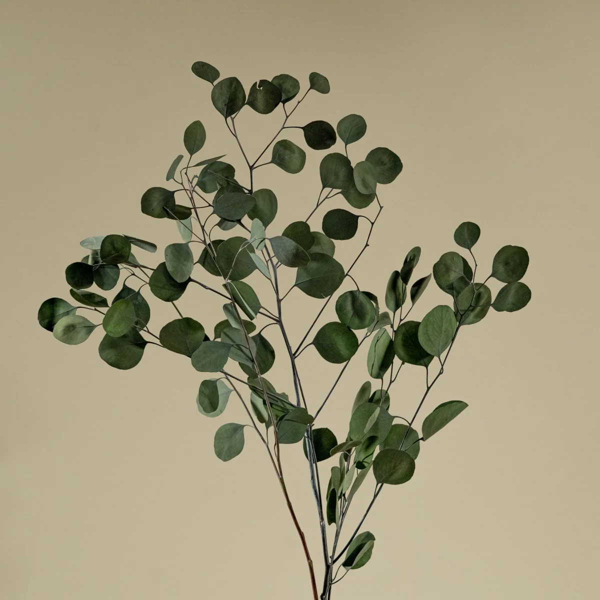 Greenery Sample Kit Option Set - Image 10