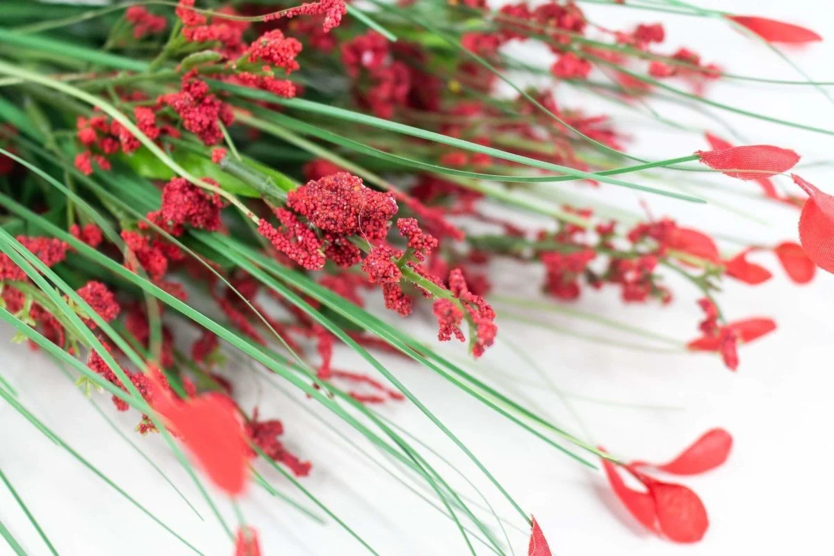 Heather Bush - Red Petals - Image 2