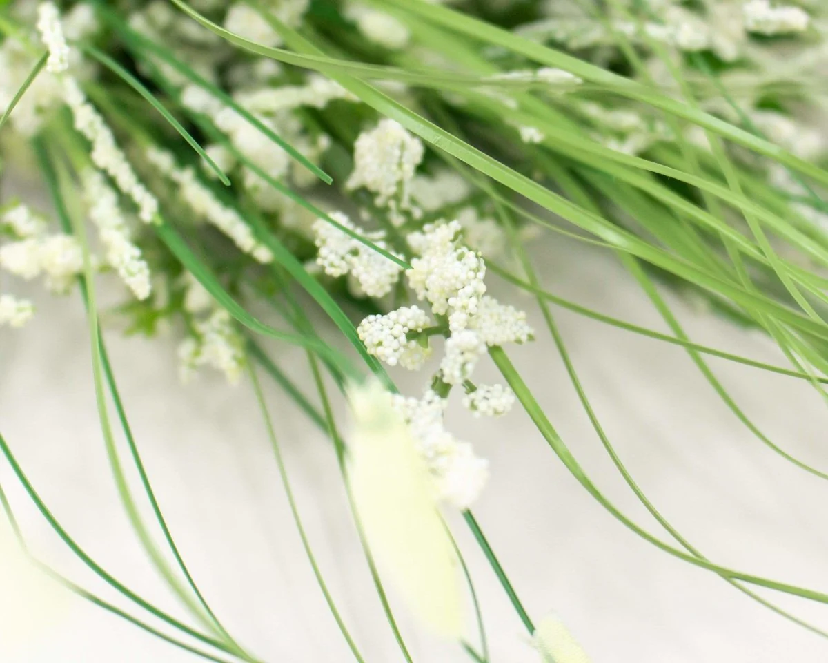 Heather Bush - White Petals - Image 2