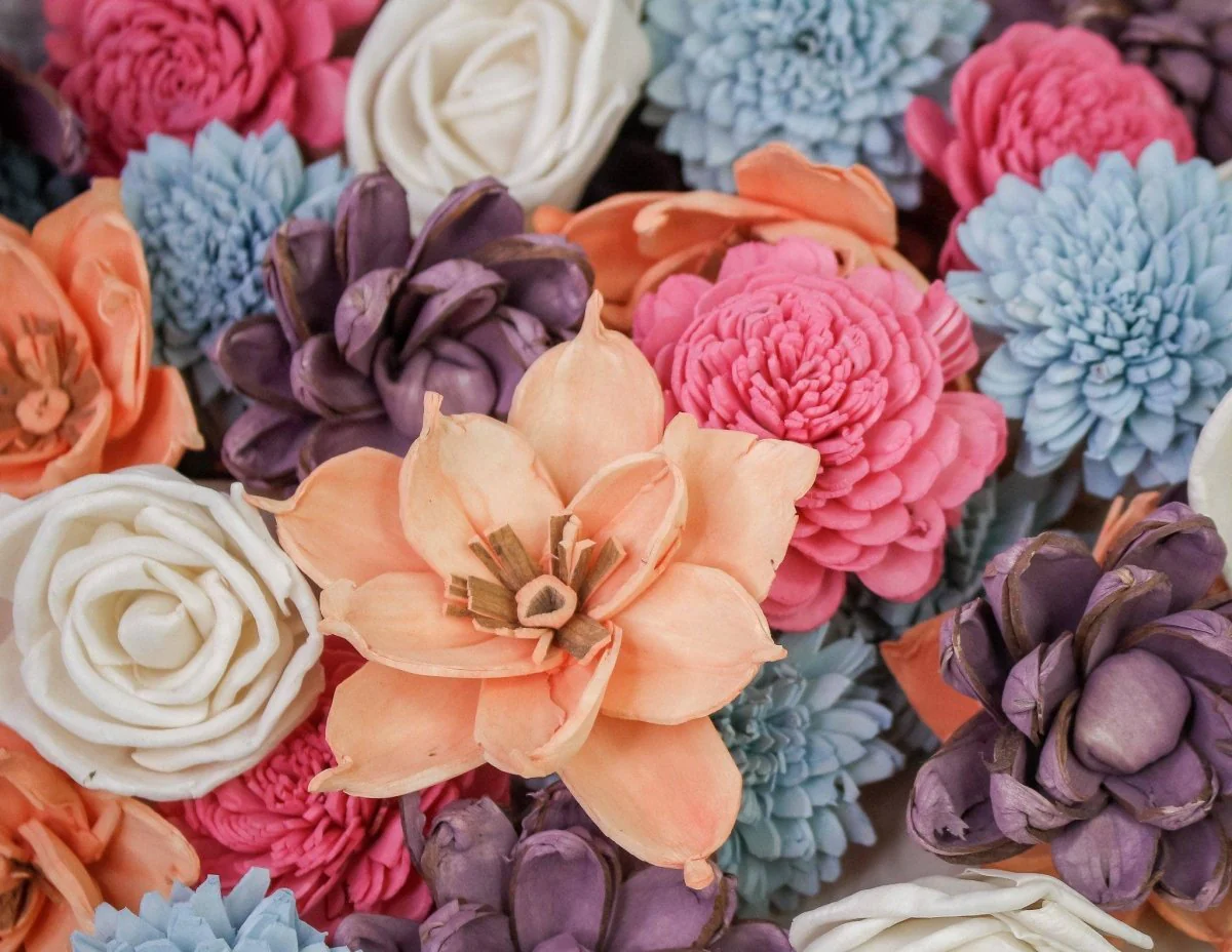 Just Dreamy - Image 2