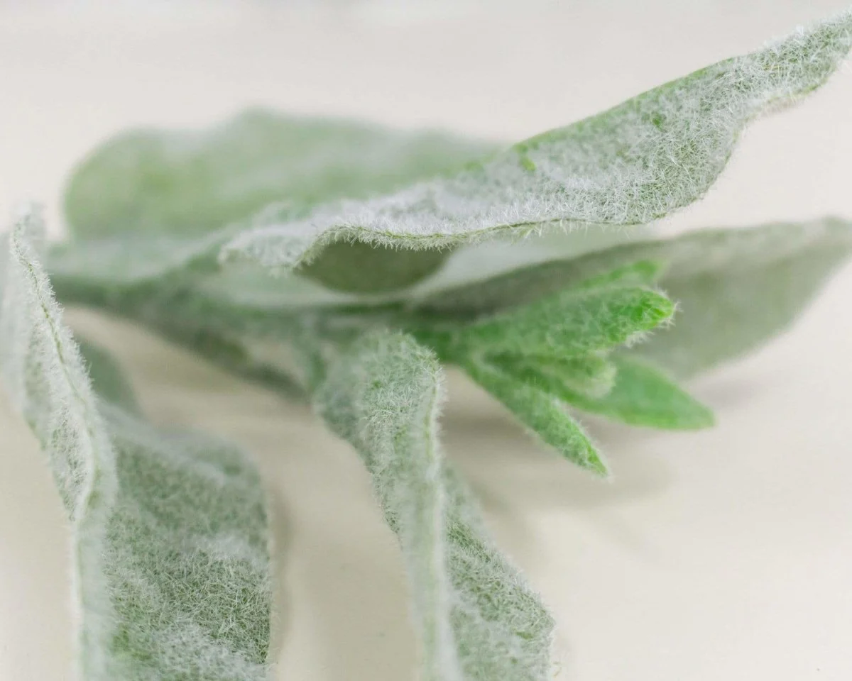 Lambs Ear Pick - Flocked Green - Image 2