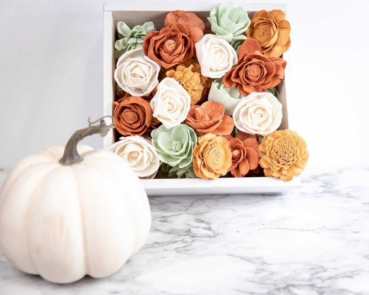 Light Pumpkin Assortment - Image 12