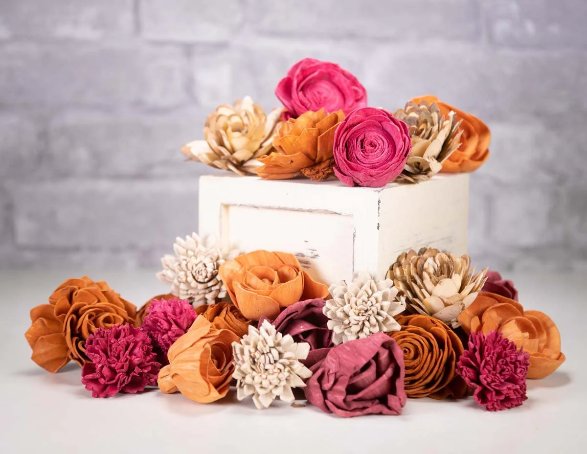 Madison Assortment - Image 2