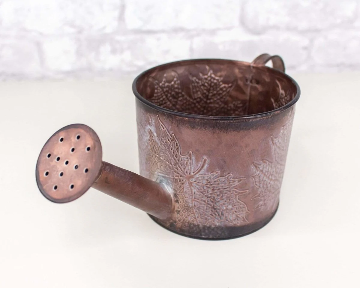 Metal Watering Can (Multiple Colors) - Image 2