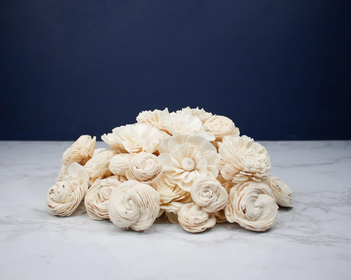 Mimosa Raw Assortment (50 Flowers) - Image 5