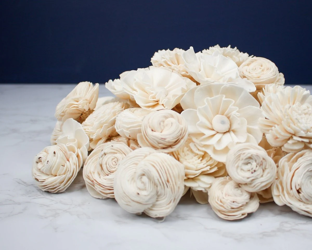 Mimosa Raw Assortment (50 Flowers) - Image 6