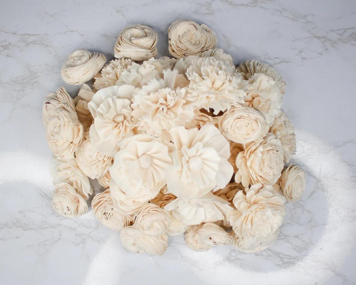 Mimosa Raw Assortment (50 Flowers) - Image 7