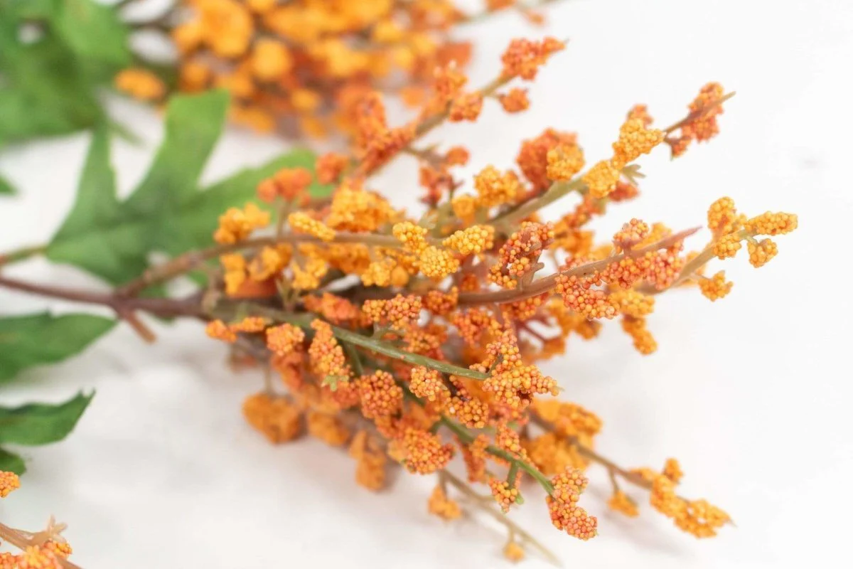 Mini Berry Spray - Orange - Image 2