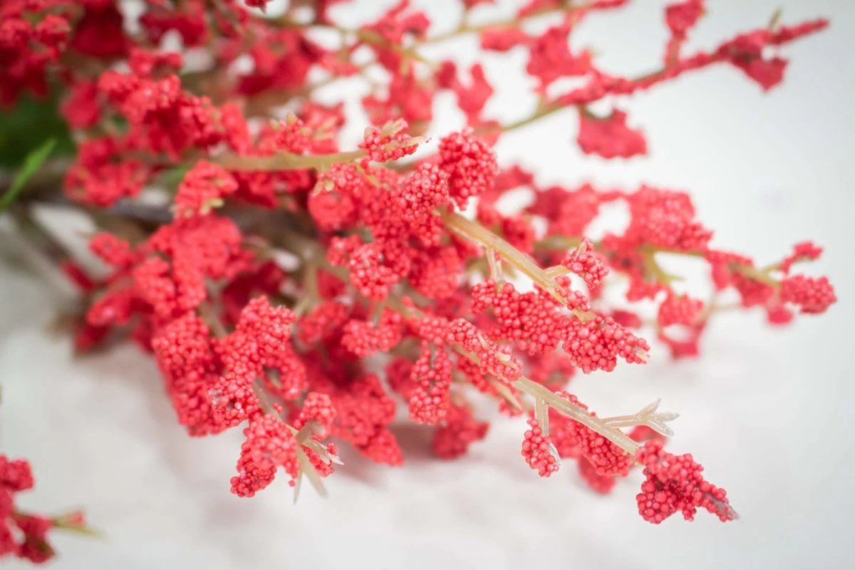 Mini Berry Spray - Red - Image 2