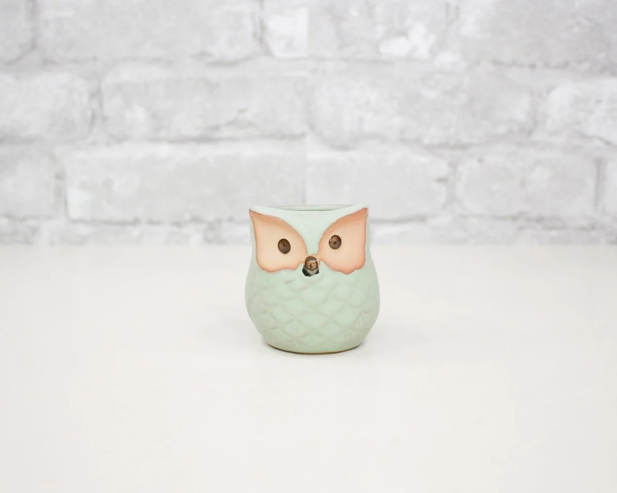 Mini Ceramic Owl Pot (Set of 3) - Image 4