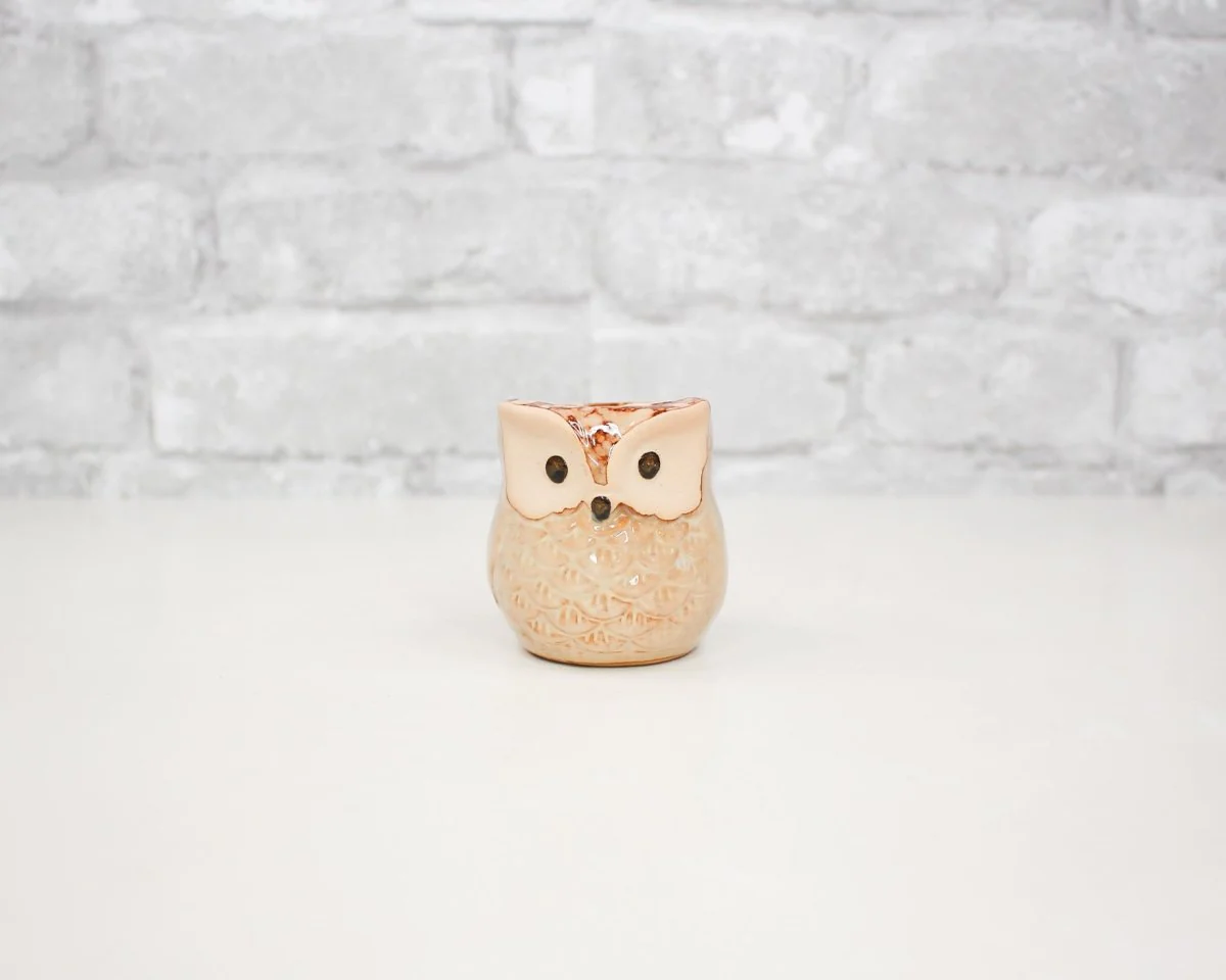 Mini Ceramic Owl Pot (Set of 3) - Image 5