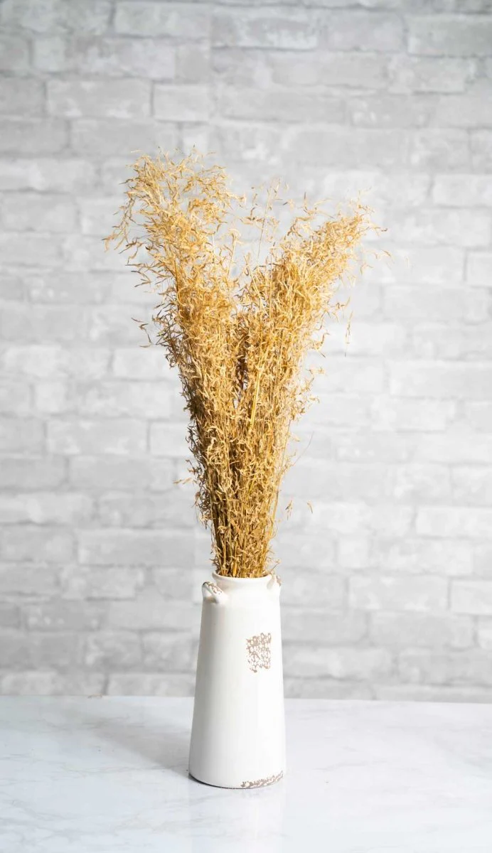 Munni Grass - Image 4