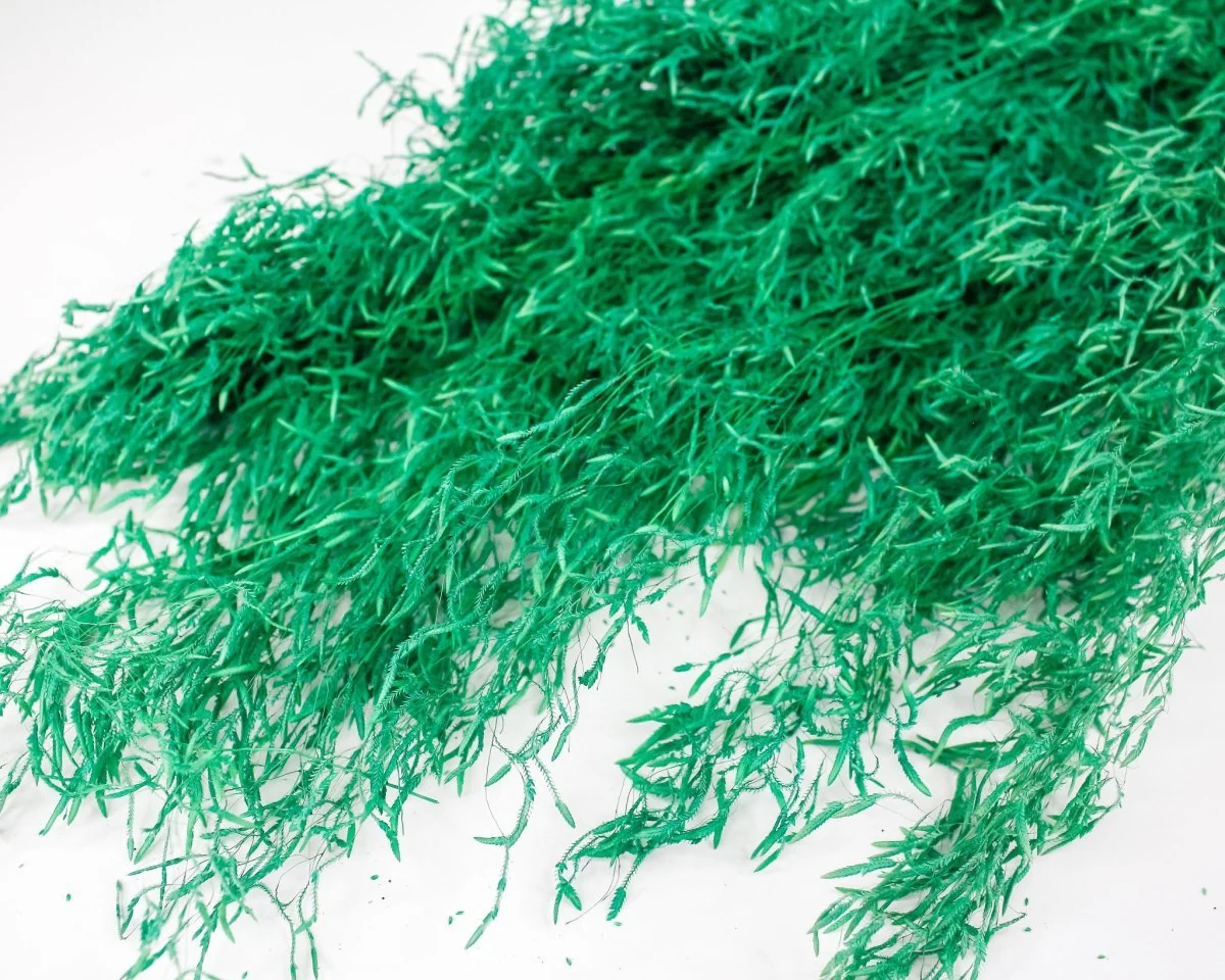 Munni Grass - Green - Image 2