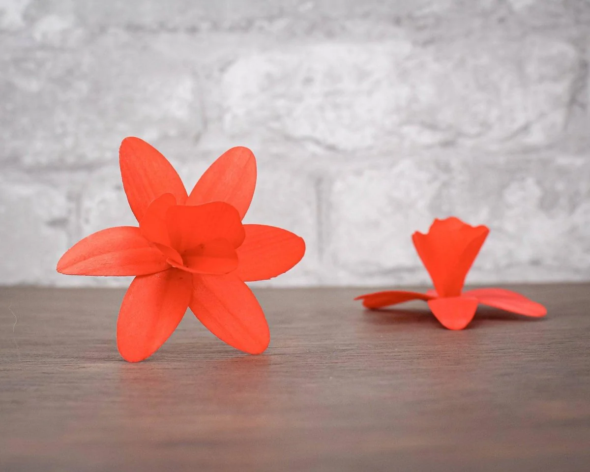 Mystery Birch Wood Flowers (10 Pack) - Image 17