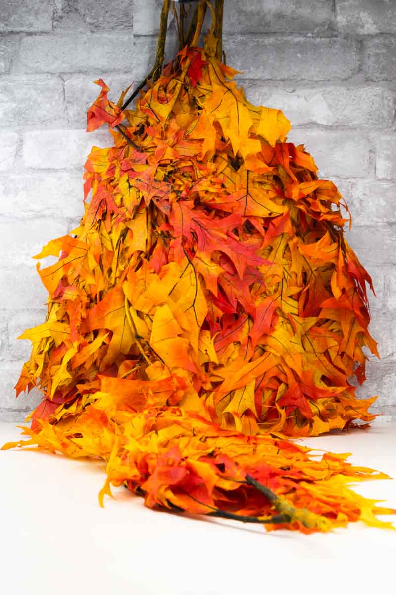 Oak - Autumn - Image 4