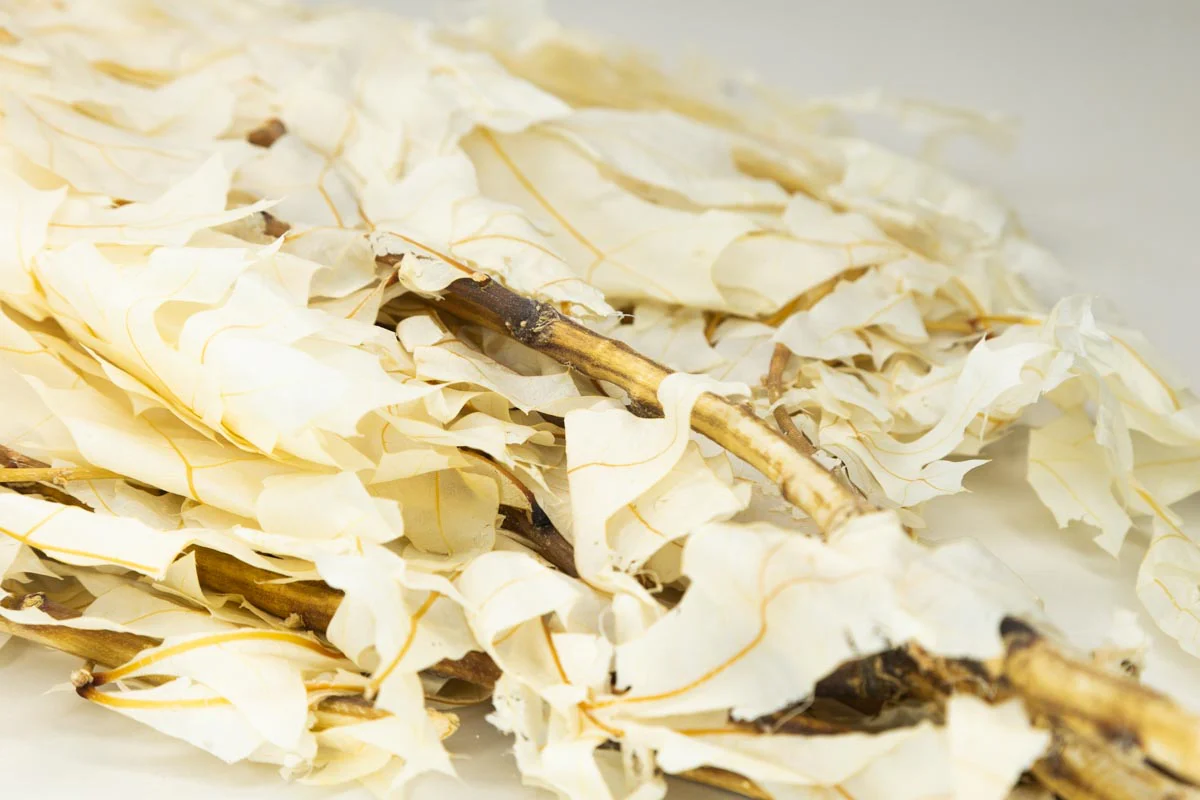 Oak - White - Image 2