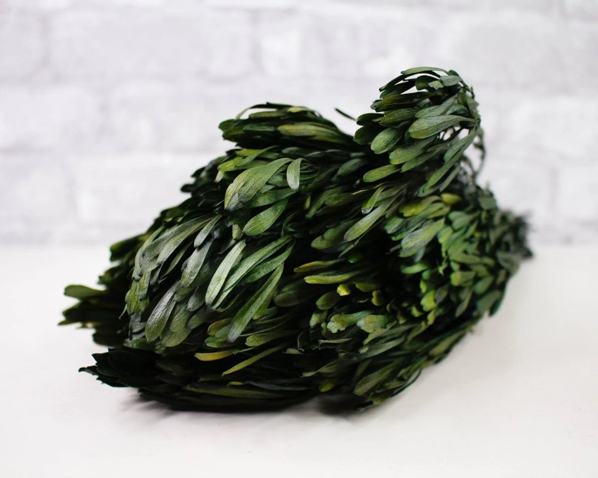 Platys Foliage - Oasis Green - Image 2