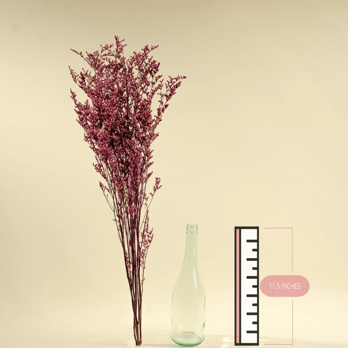 Preserved Caspia - Pink - Image 2
