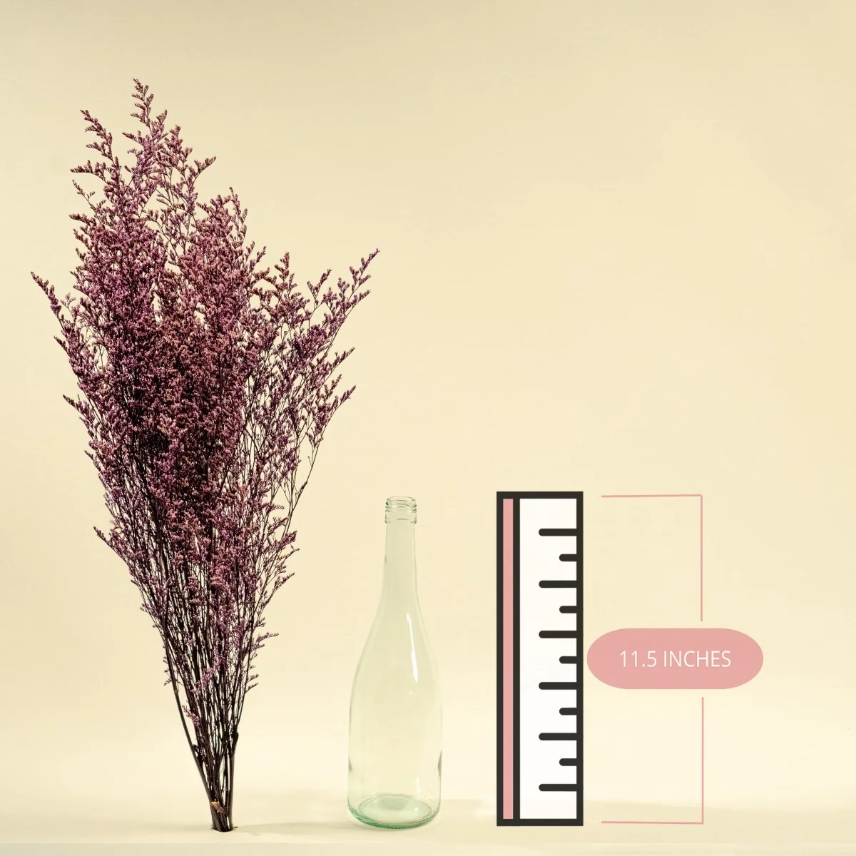 Preserved Caspia - Purple - Image 2