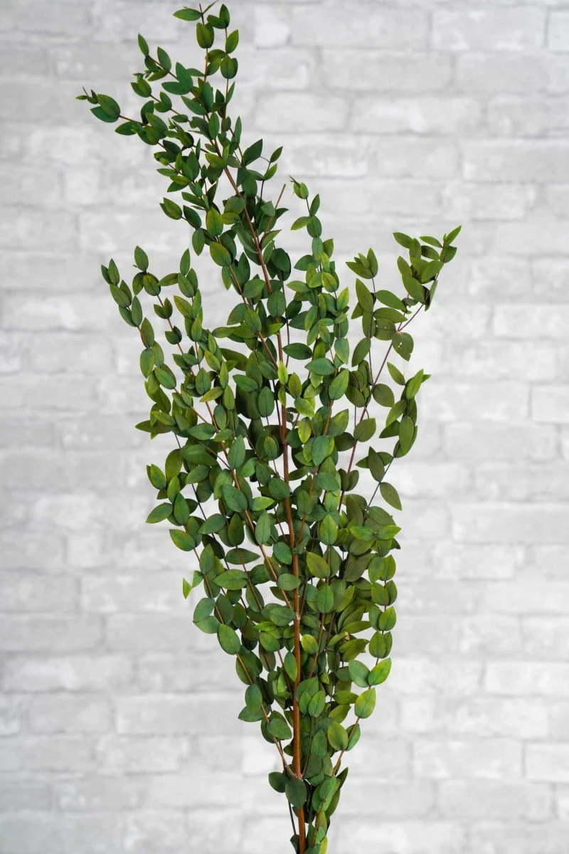 Preserved Gunni Eucalyptus - Green - Image 3