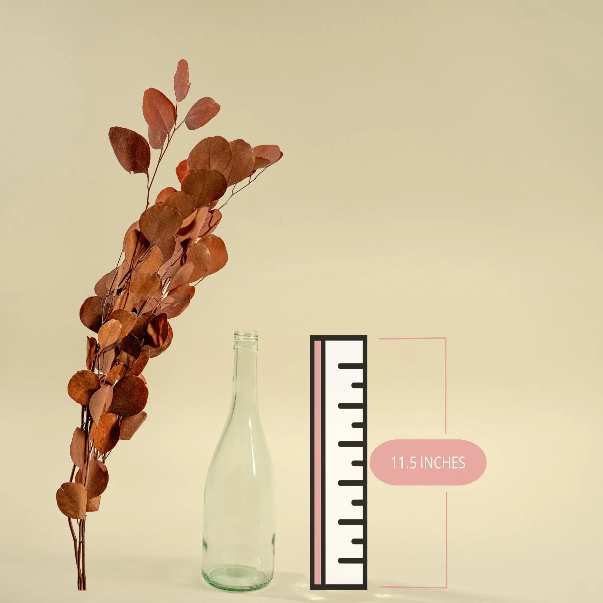 Preserved Silver Dollar Eucalyptus - Autumn - Image 2