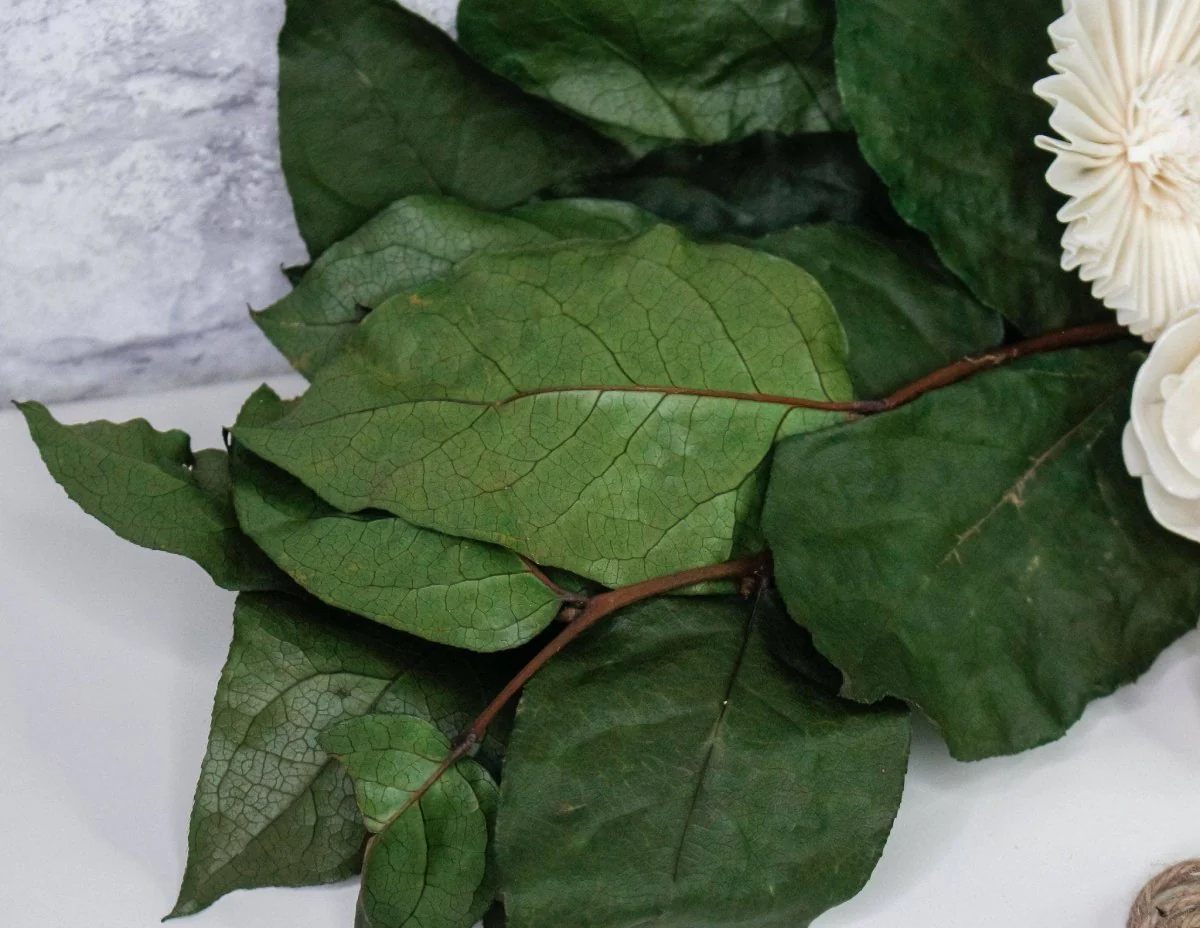 Salal Bouquet - Image 7