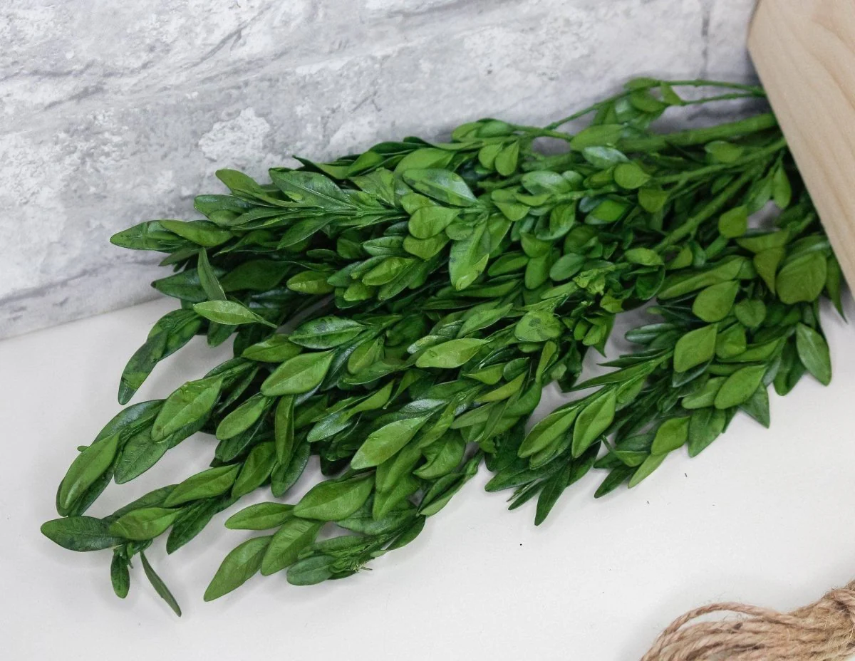 Mini Boxwood Centerpiece - Image 6