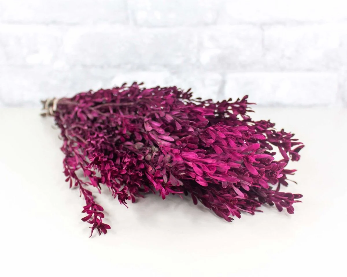 Pubescens Bundle - Merlot - Image 2