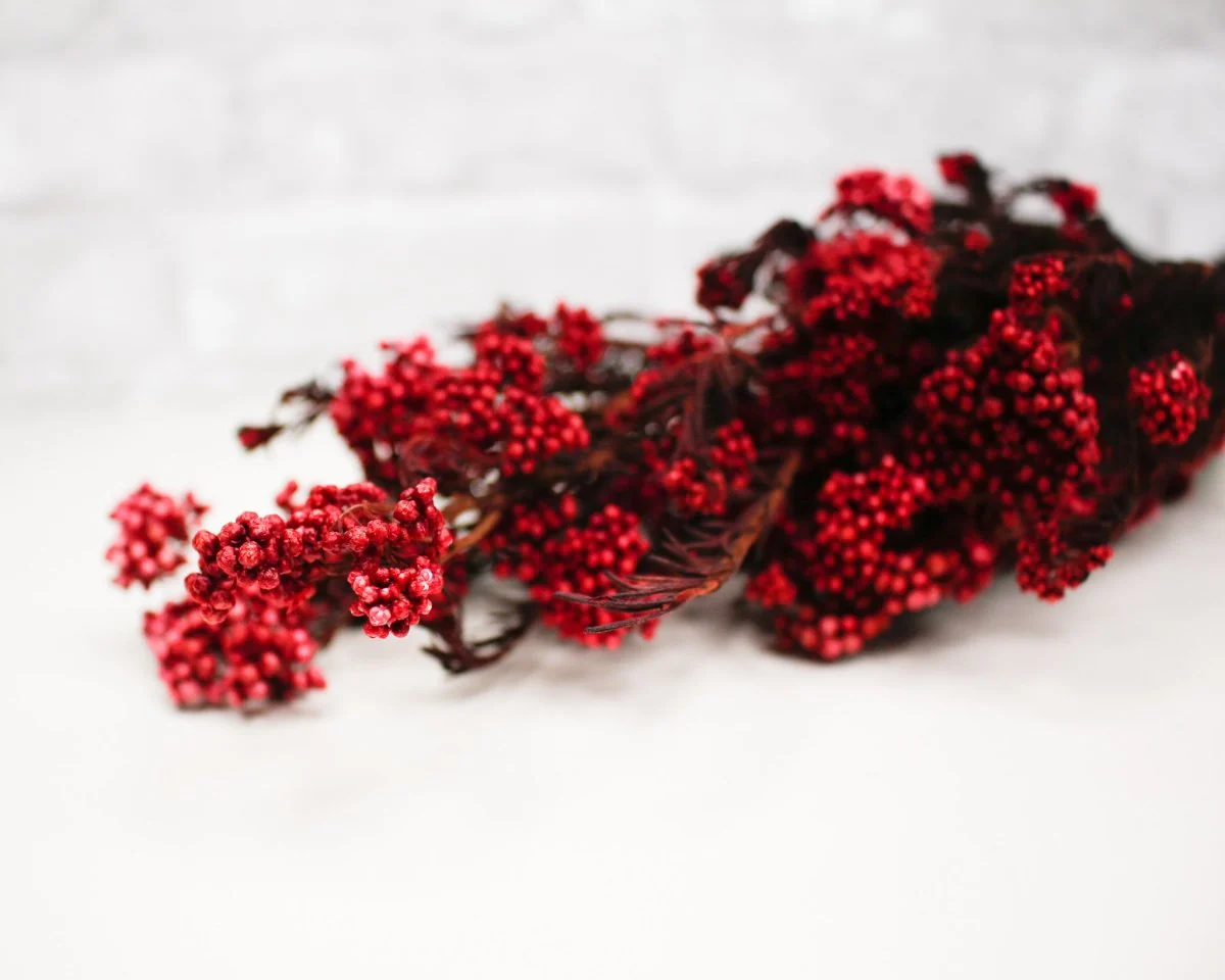 Rice Flower Bunch - Wild Berry - Image 4