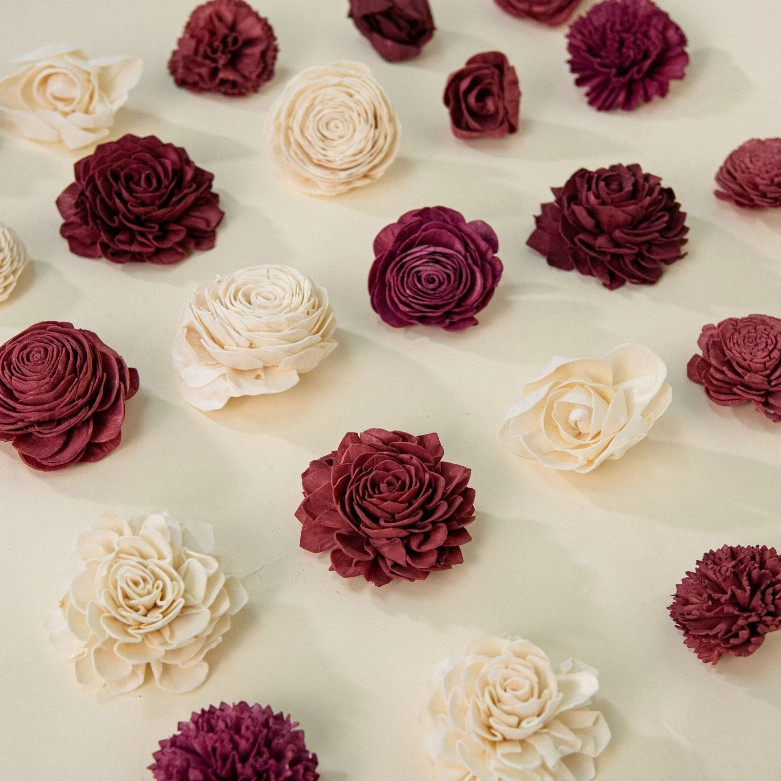 Romance Dyed Assortment 25 Pack - No Bark - Image 2