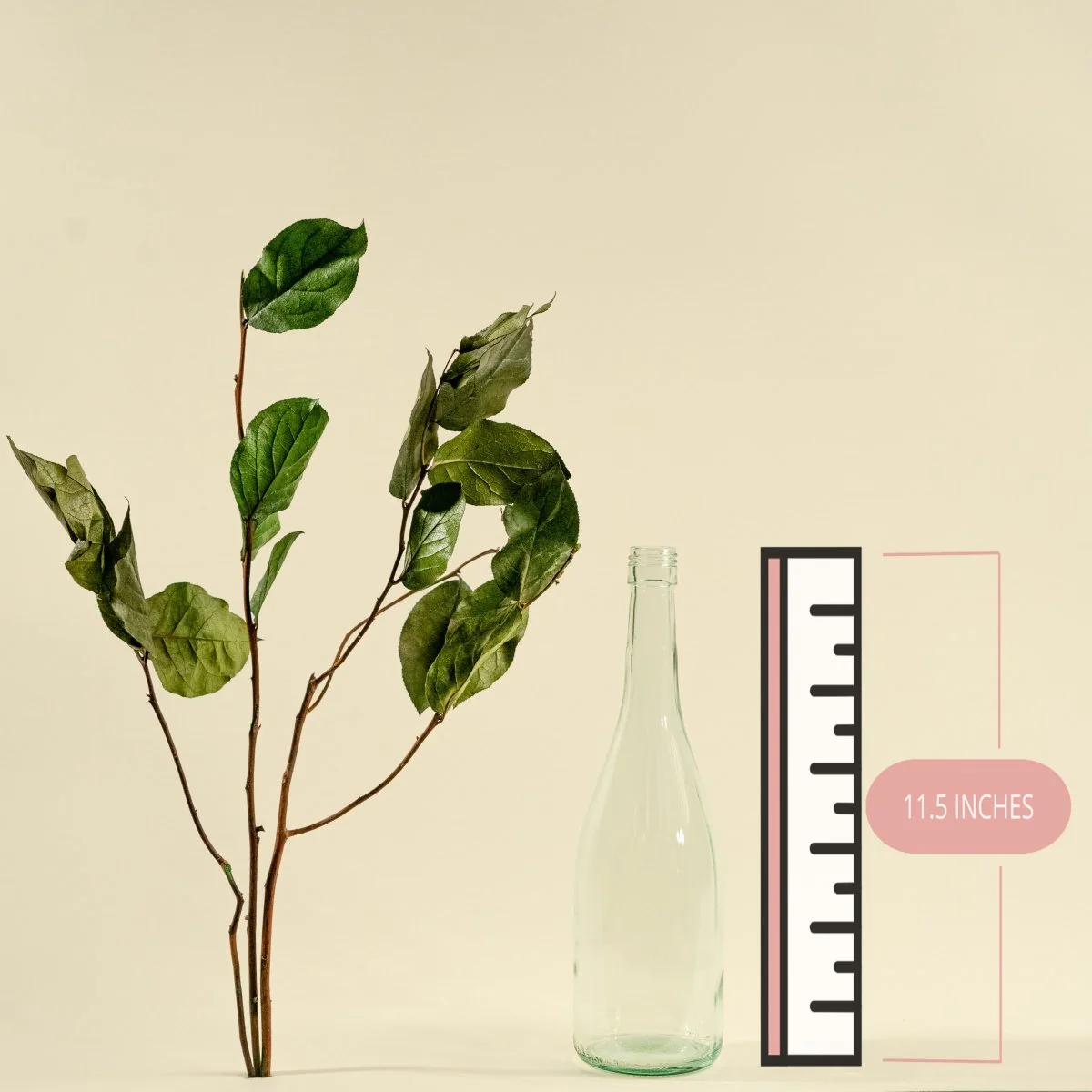 Salal - Green (Preserved) - Image 2