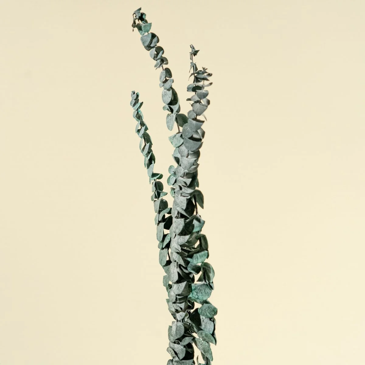 Satin Washed Eucalyptus - Blue Sky - Image 4