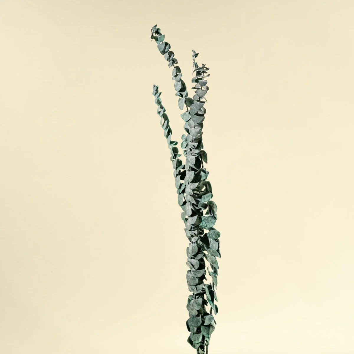 Satin Washed Eucalyptus - Blue Sky - Image 5