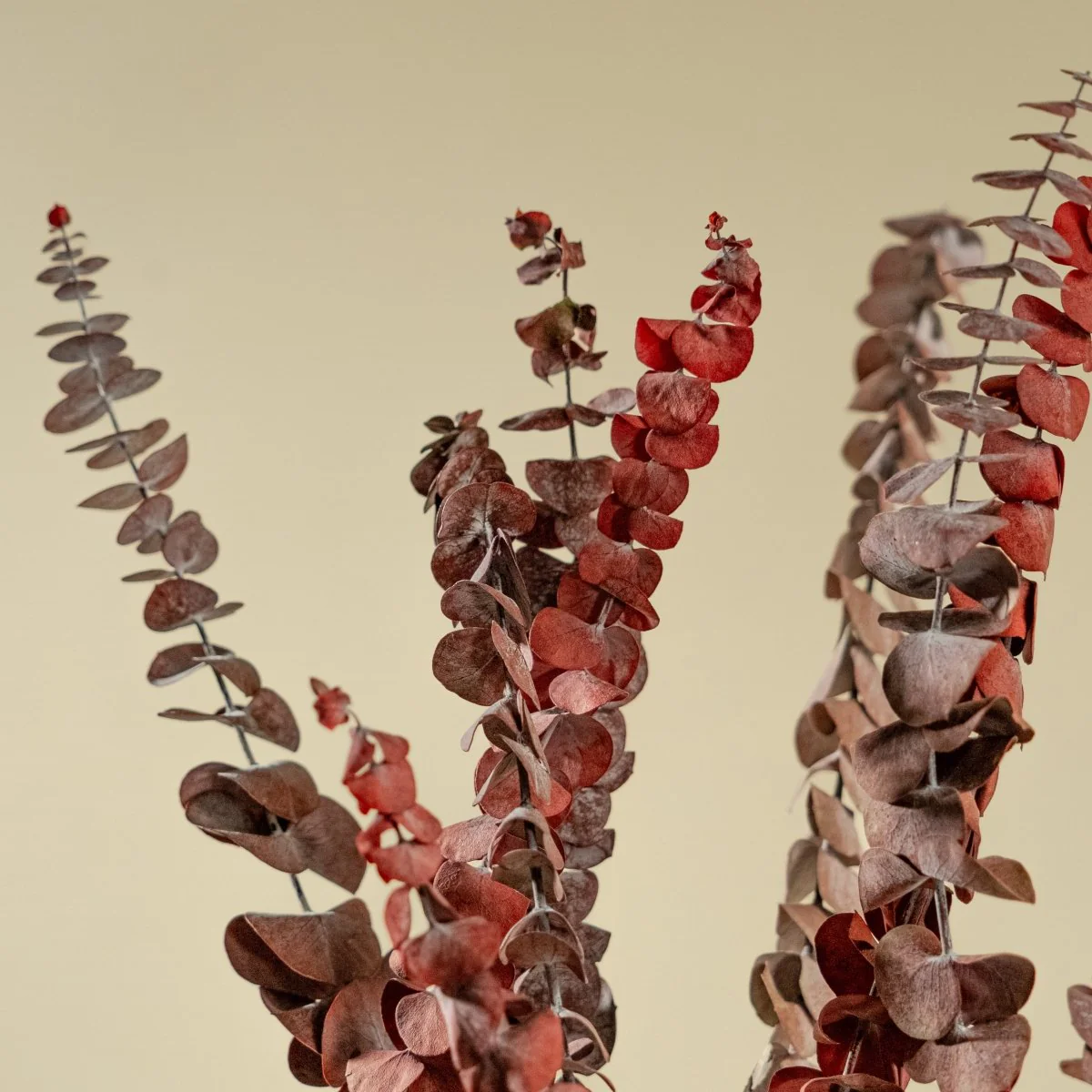 Satin Washed Eucalyptus - Red - Image 3