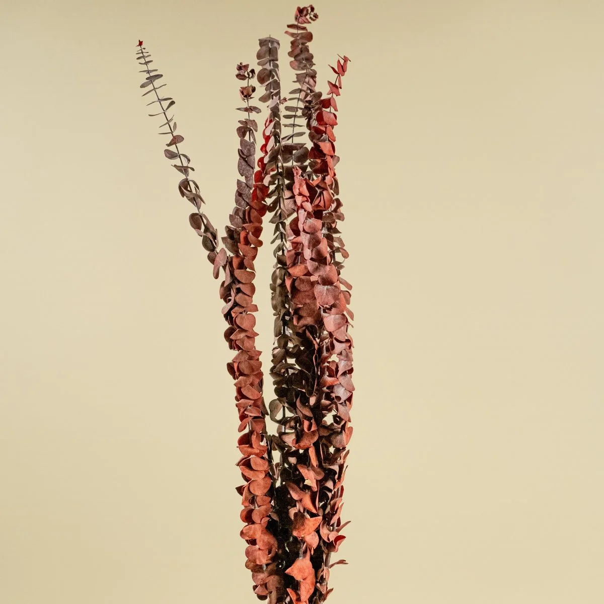 Satin Washed Eucalyptus - Red - Image 4