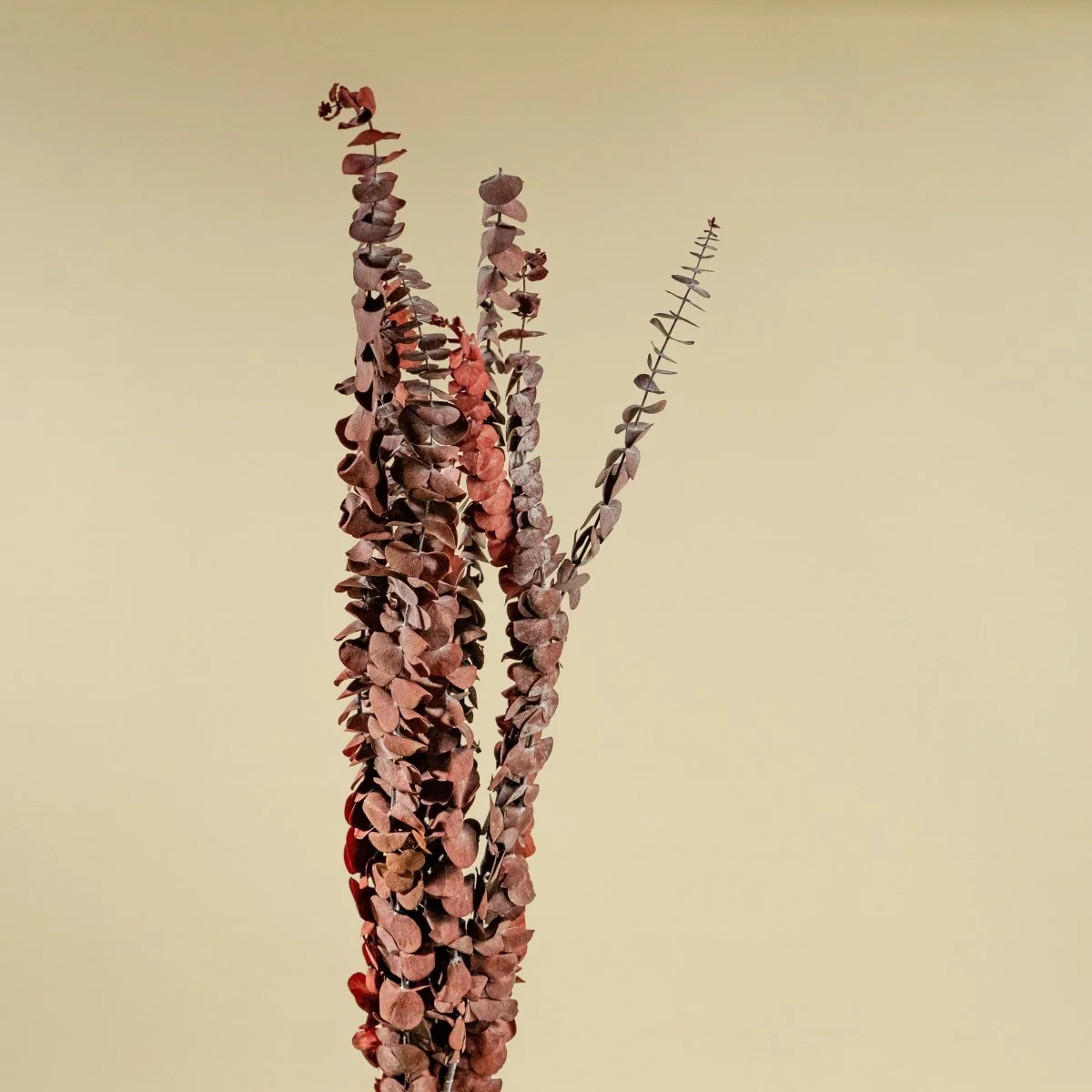Satin Washed Eucalyptus - Red - Image 5