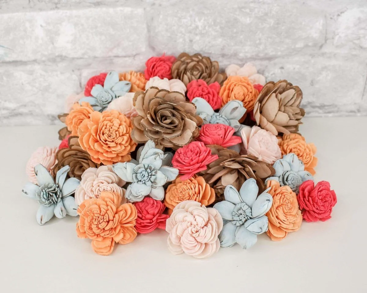 Seashell Mini Assortment - Image 2